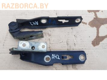 Завеса капота Audi A4 (B7)