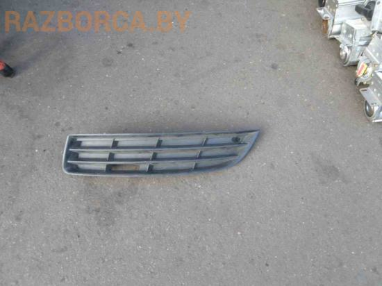 Решетка в бампер Volkswagen Passat B6