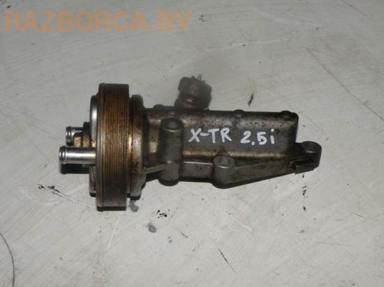 Радиатор масляный Nissan X-Trail (T30)