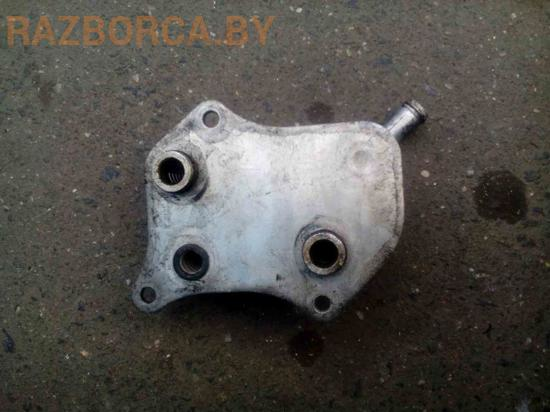 Радиатор масляный Audi A4 (B6)