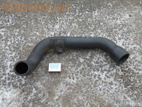 Патрубок интеркулера Nissan Almera Tino Патрубок интеркулера Nissan Almera Tino