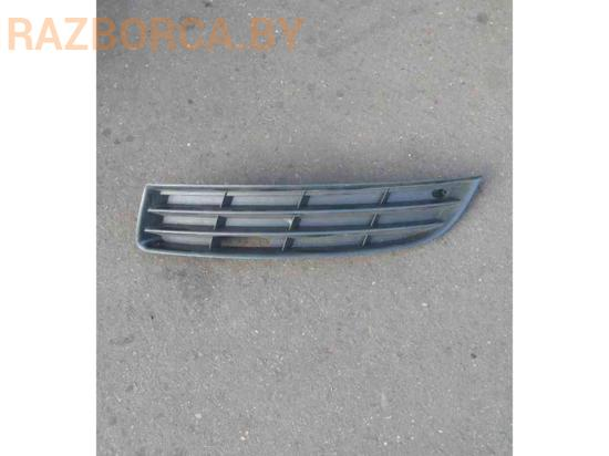 Решетка в бампер Volkswagen Passat B6