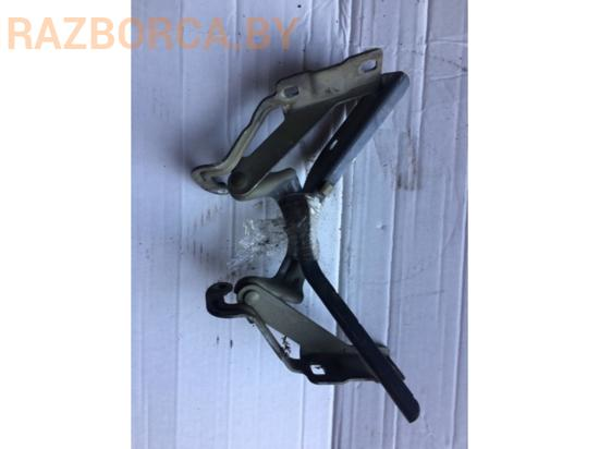 Завеса капота Nissan Primera P12