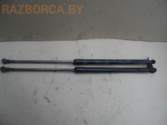 Амортизатор крышки багажника (3-5 двери) Nissan X-Trail (T30) Амортизатор крышки багажника (3-5 двери) Nissan X-Trail (T30)